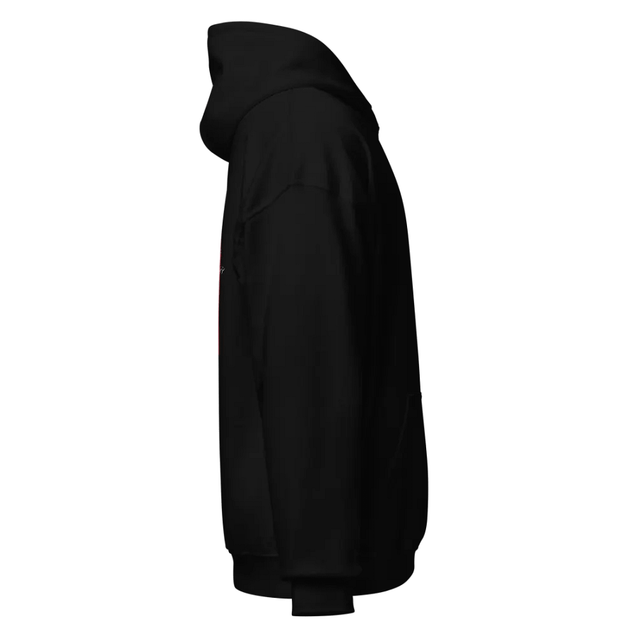MADCOMBO Spectrum Logo Hoodie product image (5)