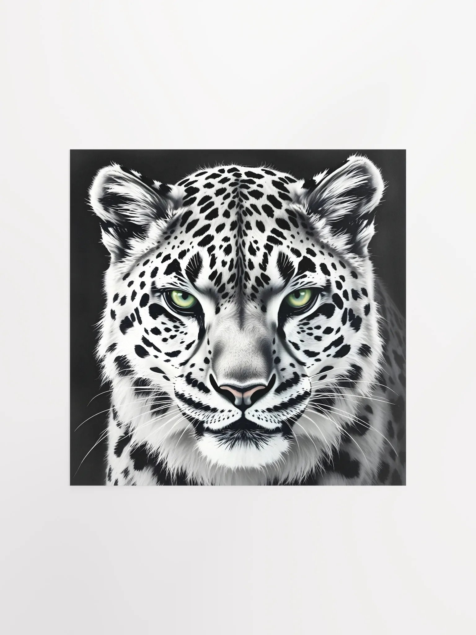 Snowleopard product image (4)
