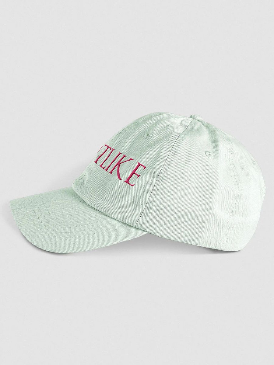 SAINTLIKE HAT MUTED product image (3)