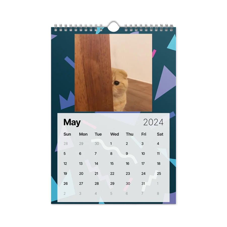 Wall Calendar (2024): Meme Cats product image (14)