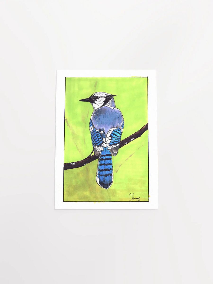 Blue Jay Print product image (4)