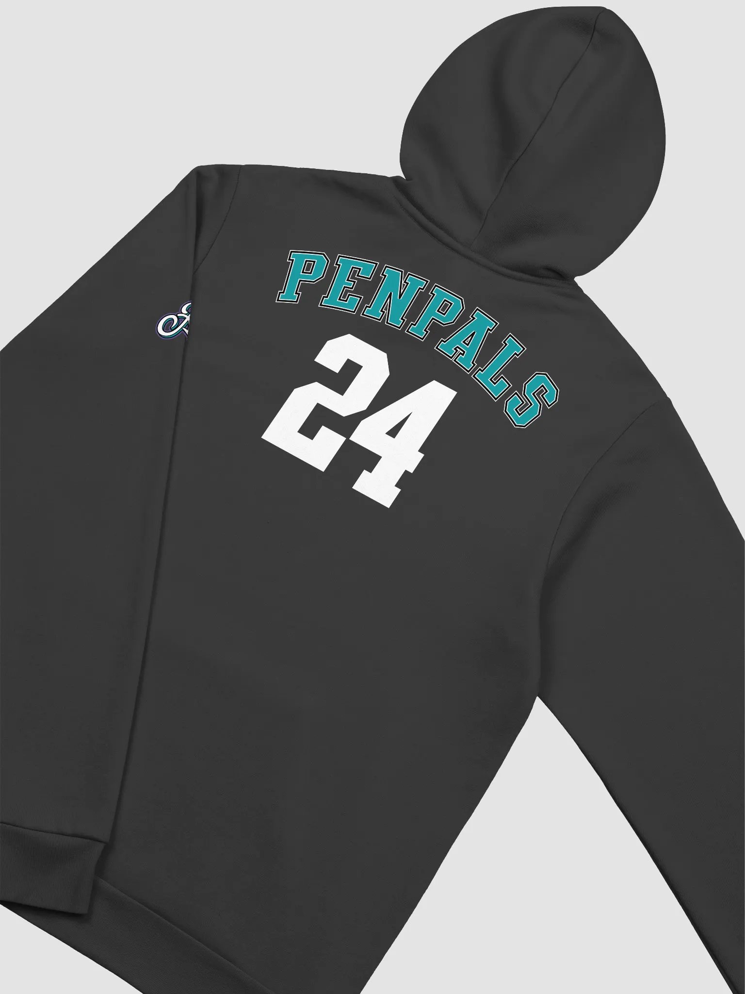 Adult 'PenPals' Hoodie product image (21)