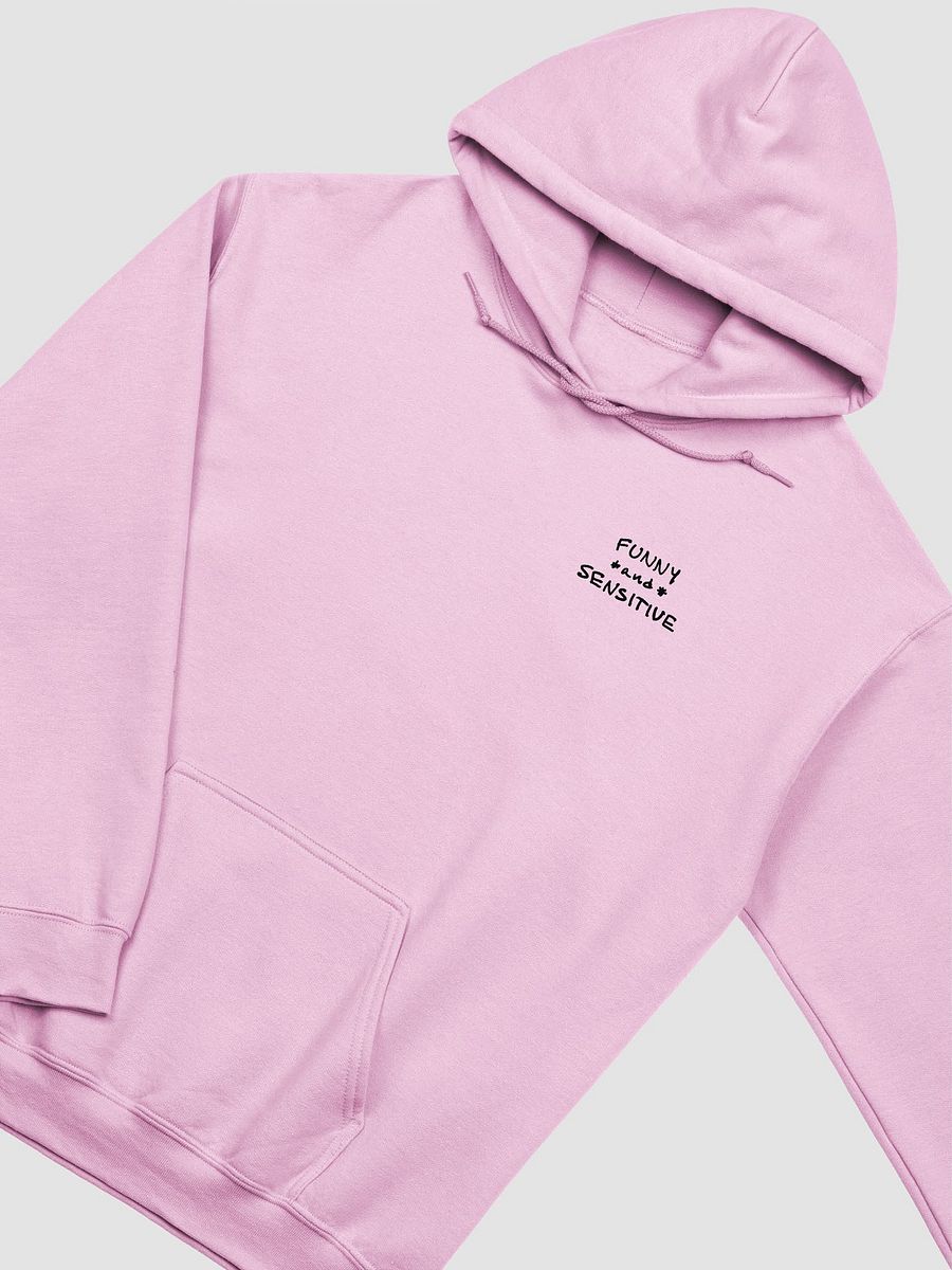 FUNNY *and* SENSITIVE (sm. design) classic hoodie product image (37)