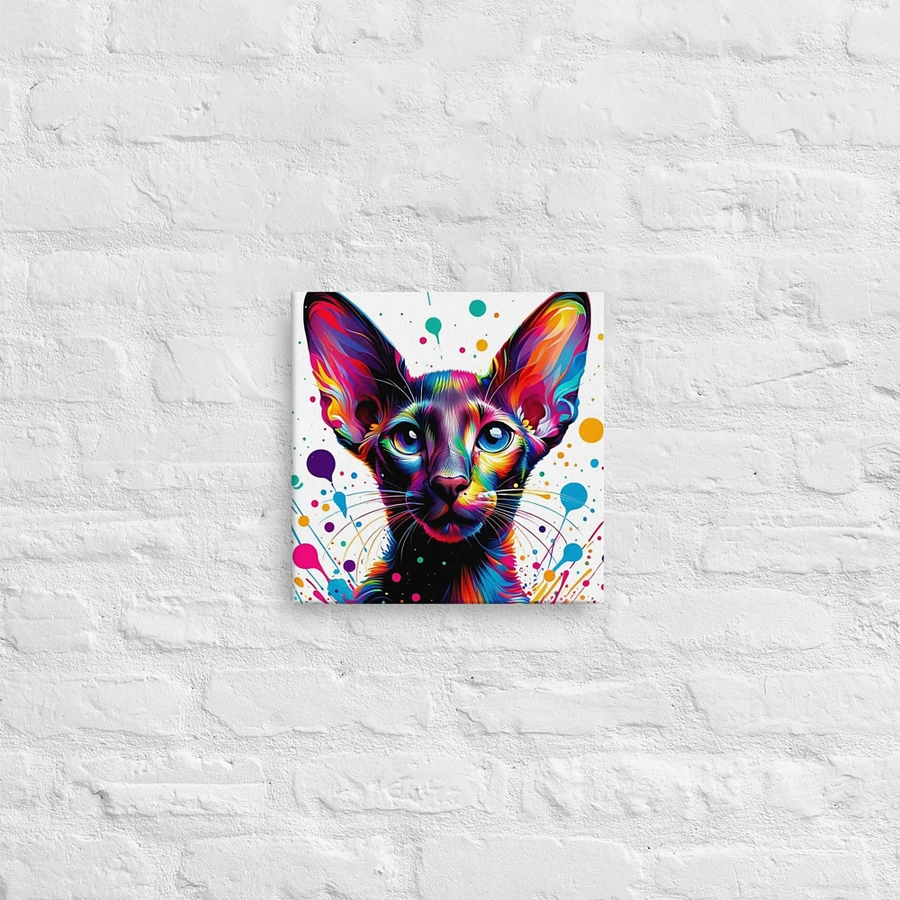 Canvas (in): Oriental Shorthair product image (12)