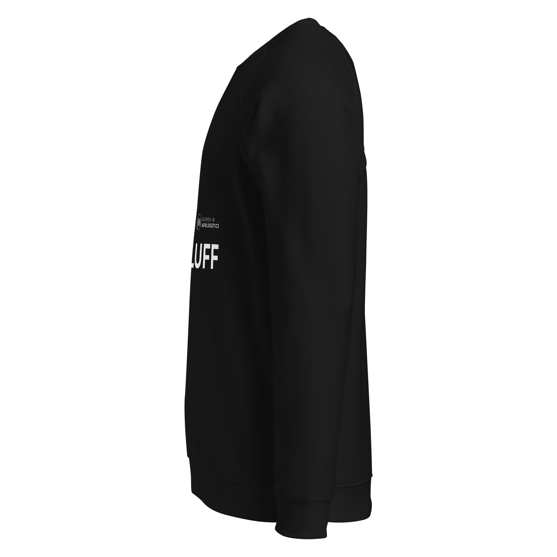 Truth Not Fluff Raglan Sweatshirt product image (6)