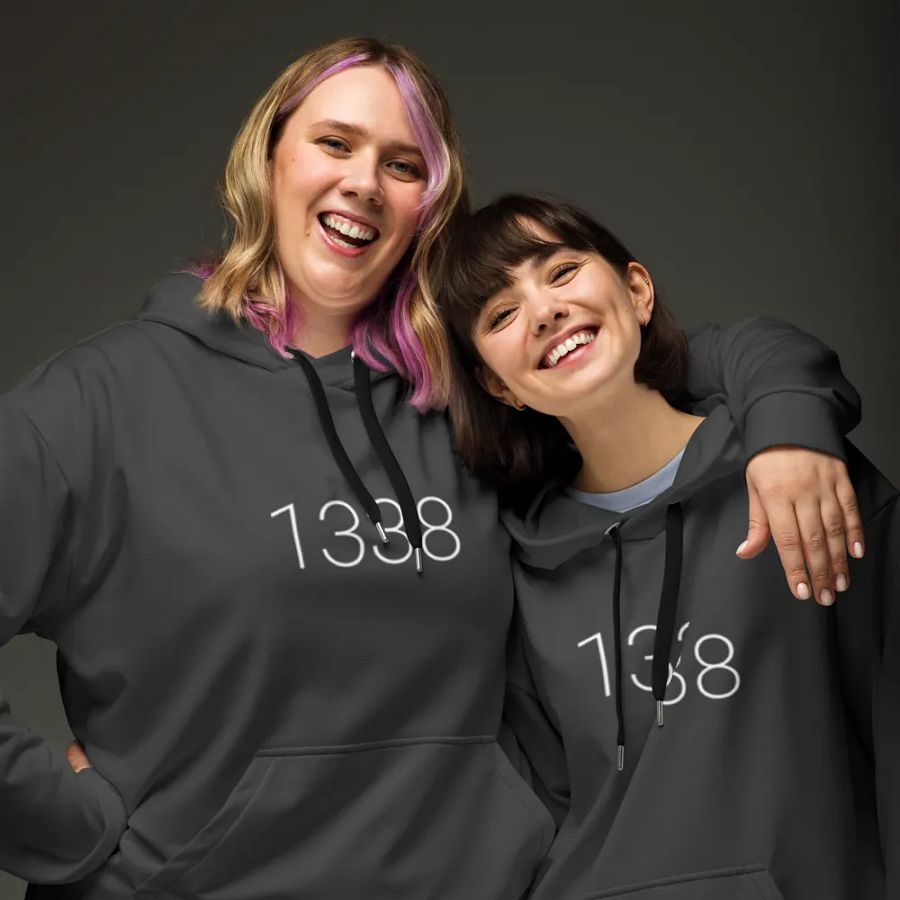 1338, beyond leet hoodie (darker grayscale mode) product image (9)