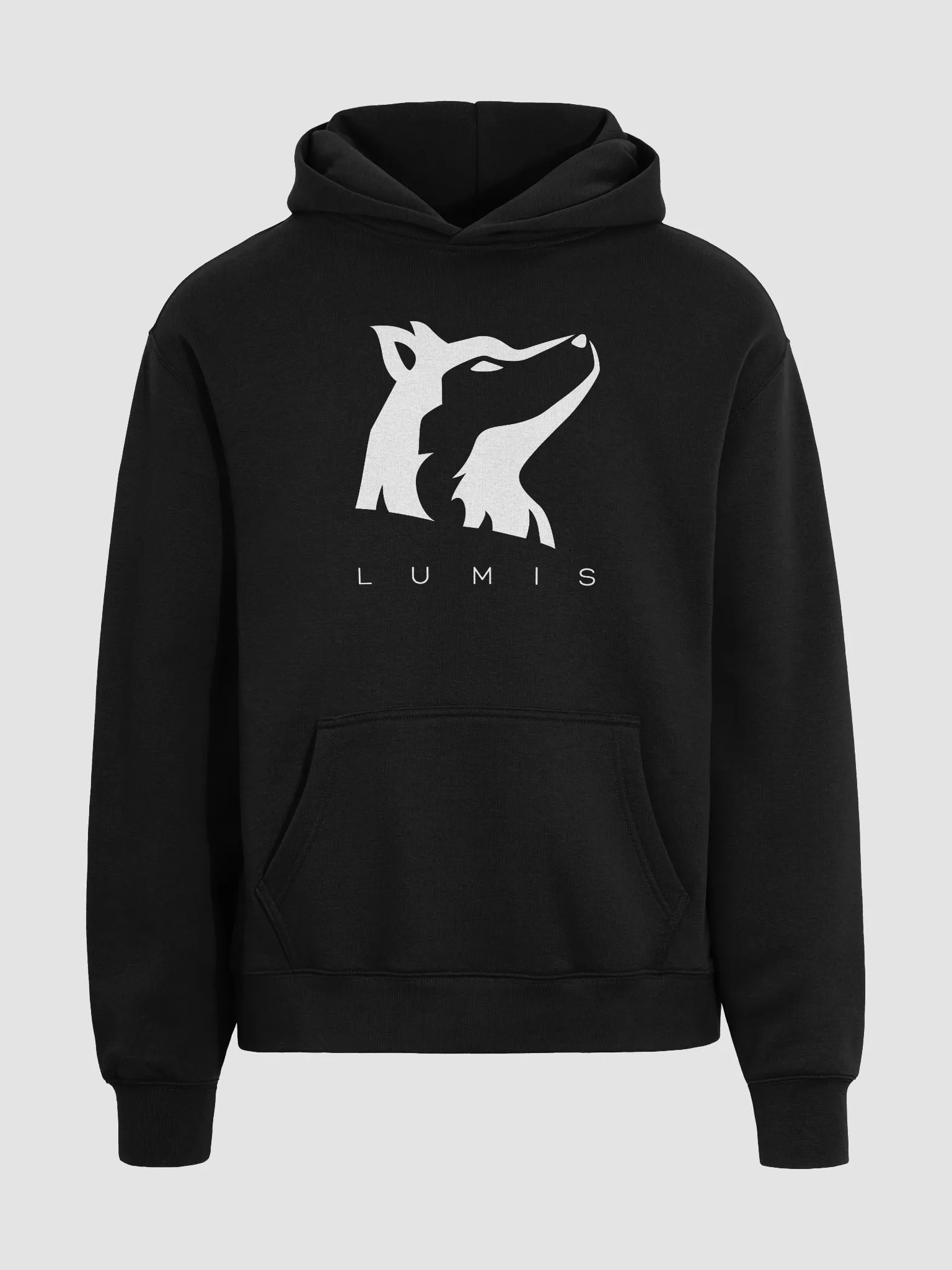 Lumis Oversized Hoodie product image (3)