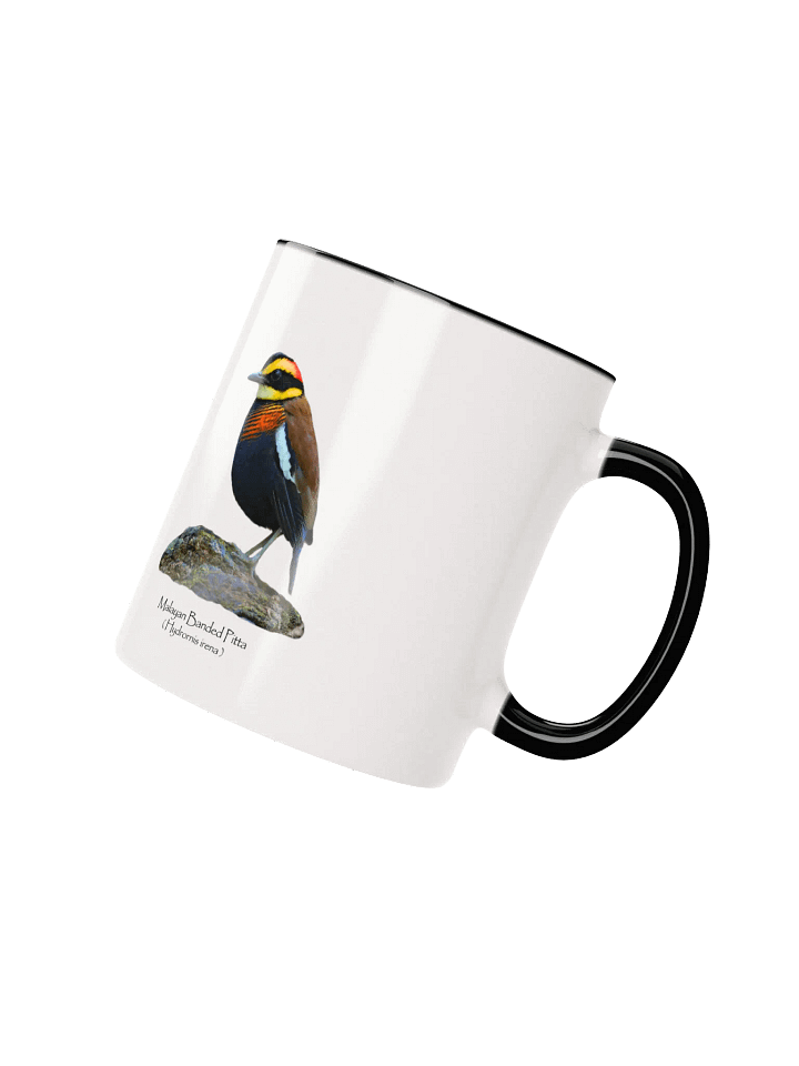 Malayan Banded Pitta mug product image (11)