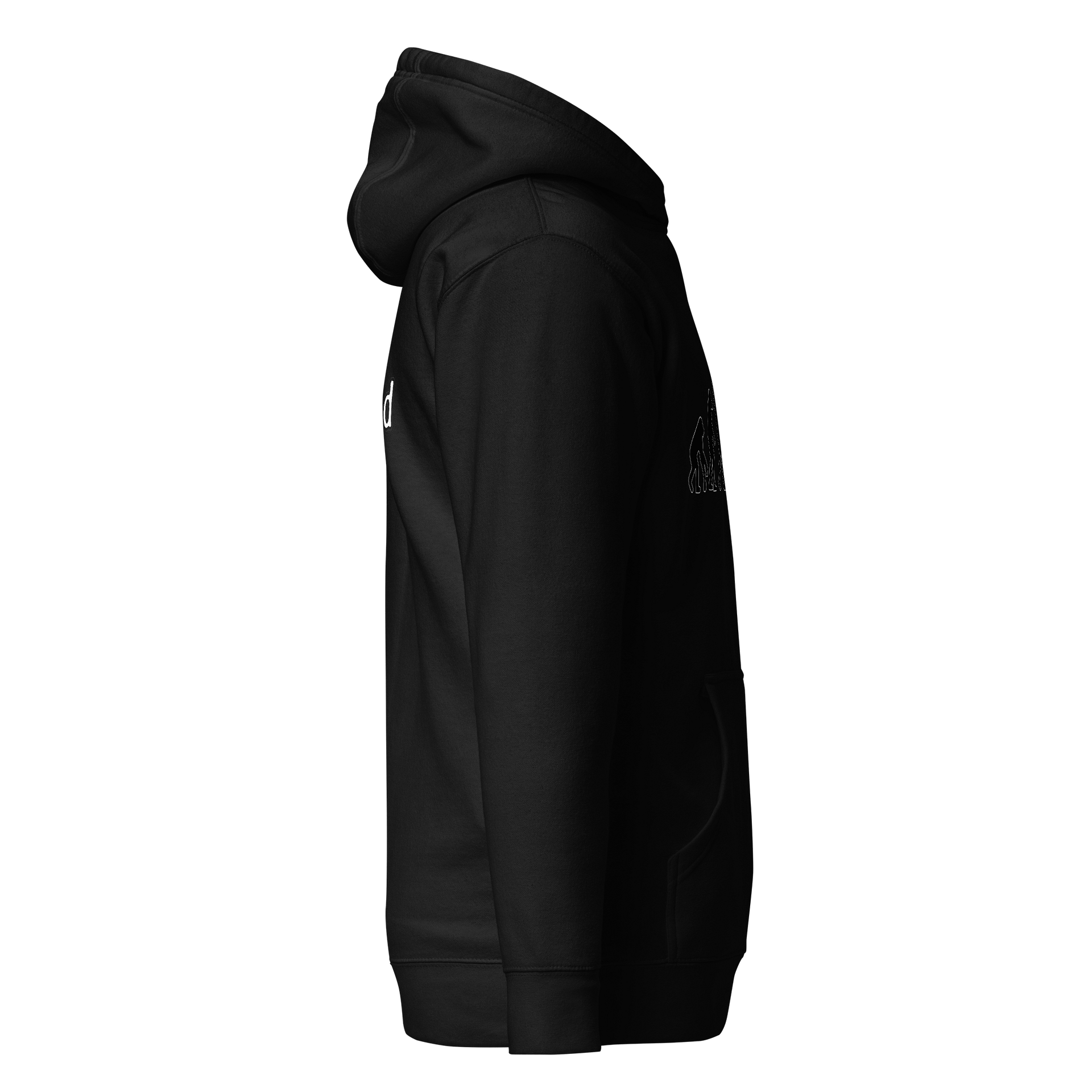 Evolutionary Progression Unisex Hoodie product image (11)