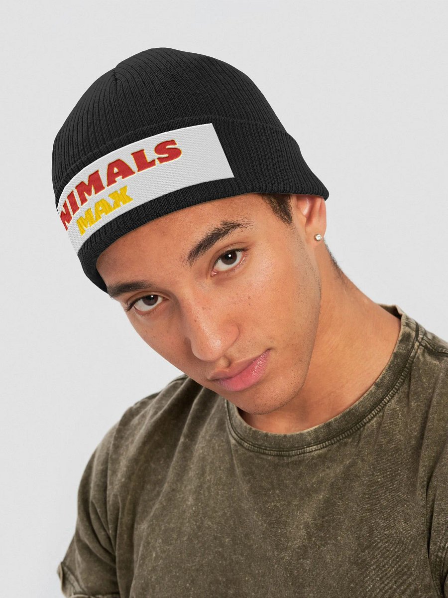 Atlantis Organic Ribbed Knit Hat product image (20)