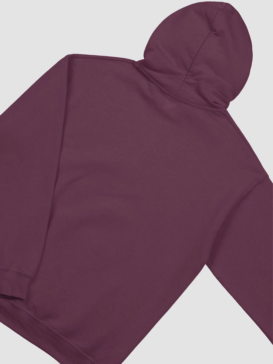 Armada Dodgeball Club Hoodie product image (28)