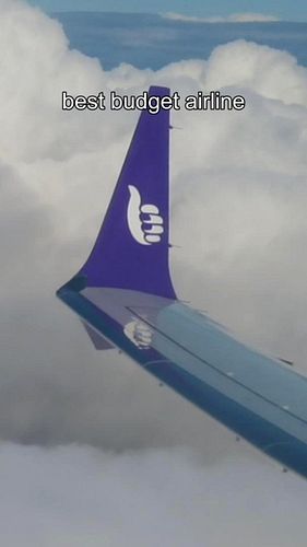 Final ever review of Bonza now on YouTube! Click the link in bio!! #bonza #airline #review #collapse #737max