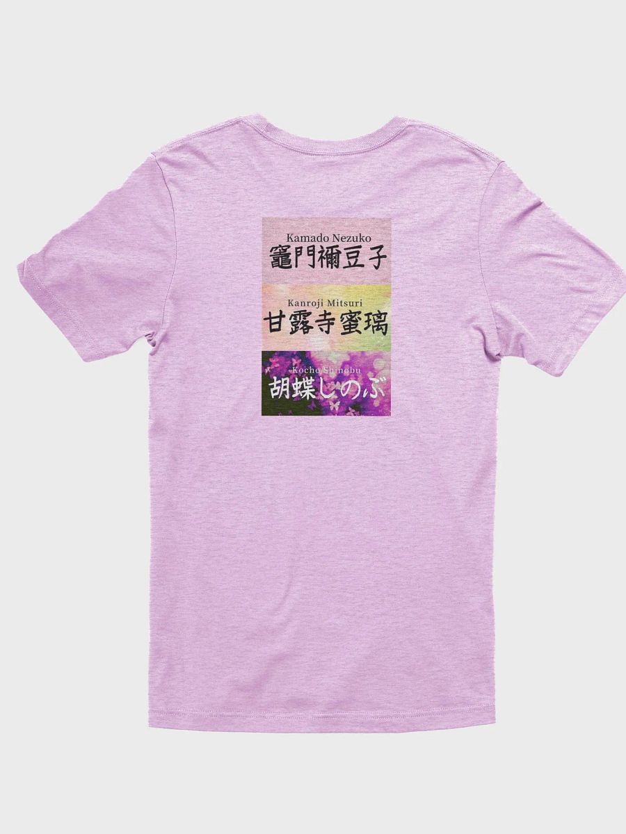 DS product image (2)