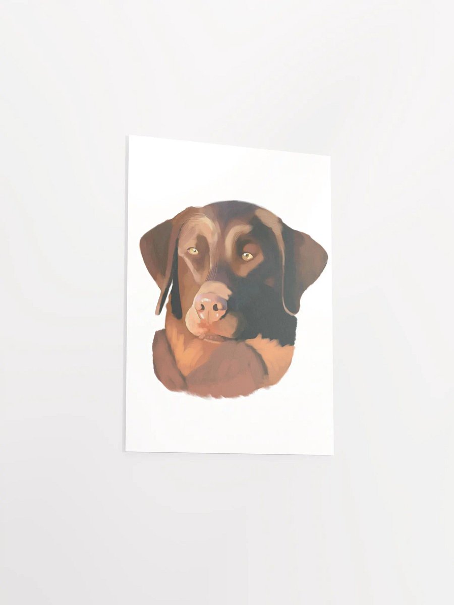 Chesapeake Bay Retriever product image (35)