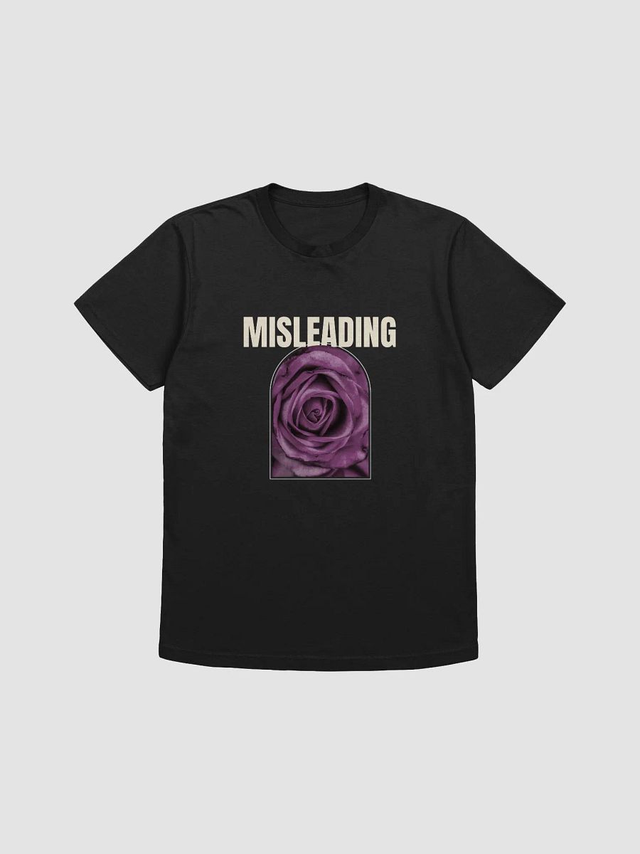 Misleading Cover (Long Term) product image (1)
