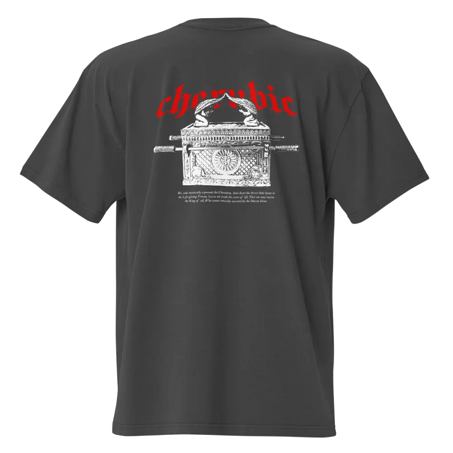 Cherubim Oversized Tee product image (7)