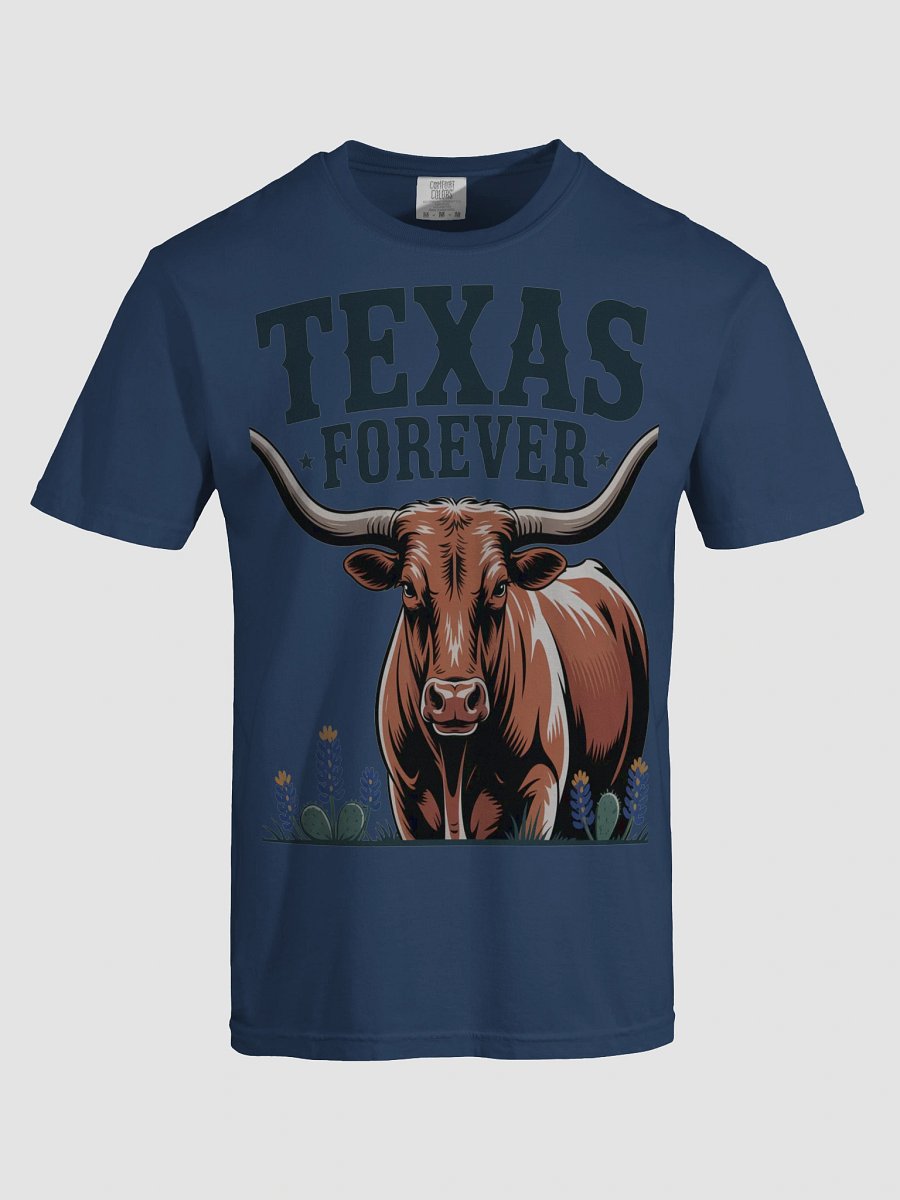 Texas Forever Heavyweight Tee product image (60)