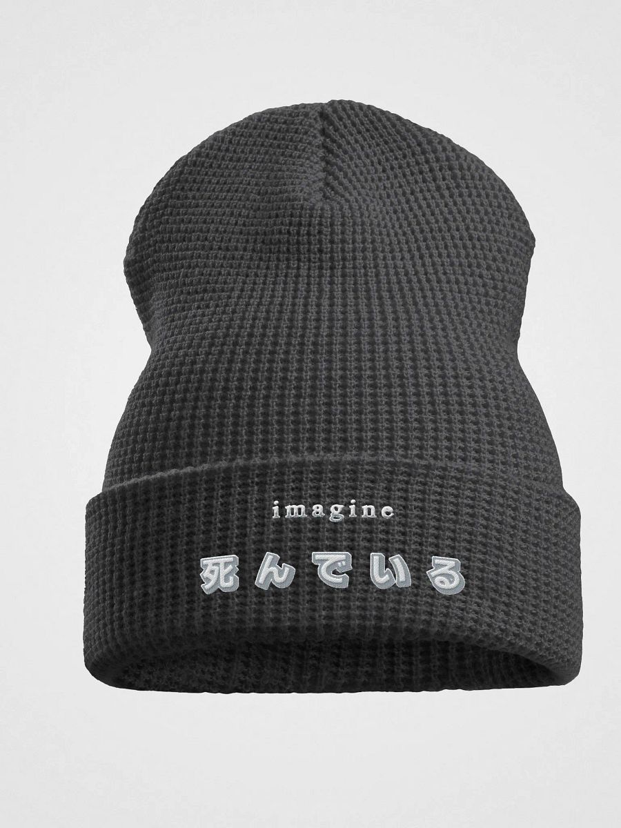 Imagine Dying Beanie product image (1)