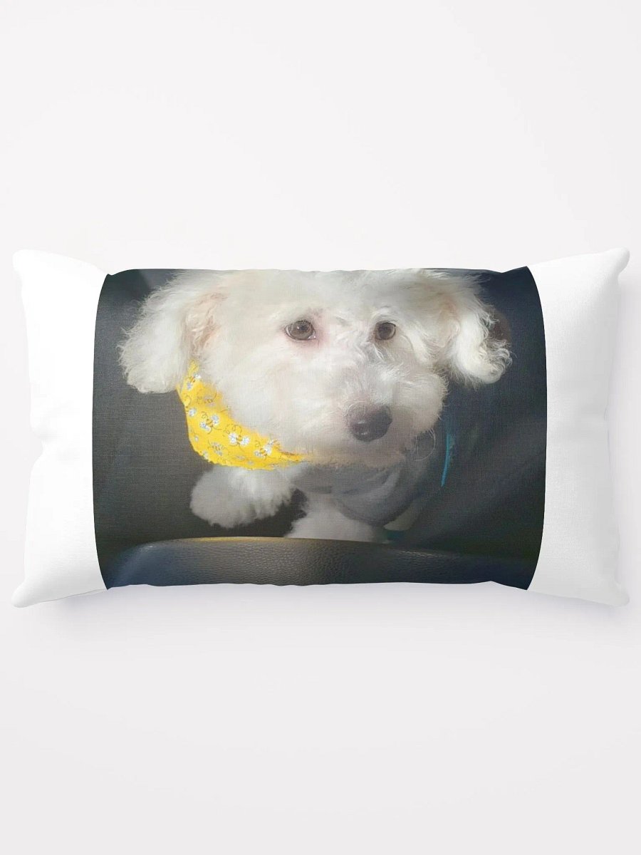 snowball pillow product image (13)
