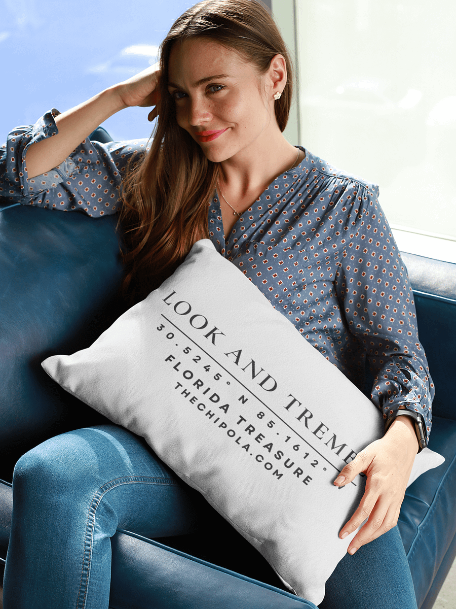 The Coordinates Pillow product image (1)