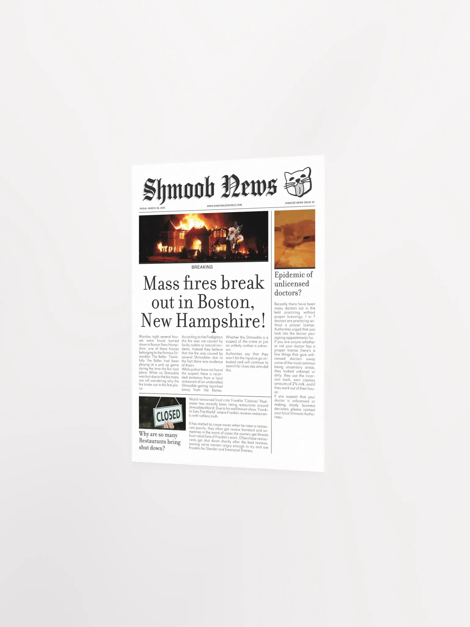 Shmoob News Issue #2 product image (2)