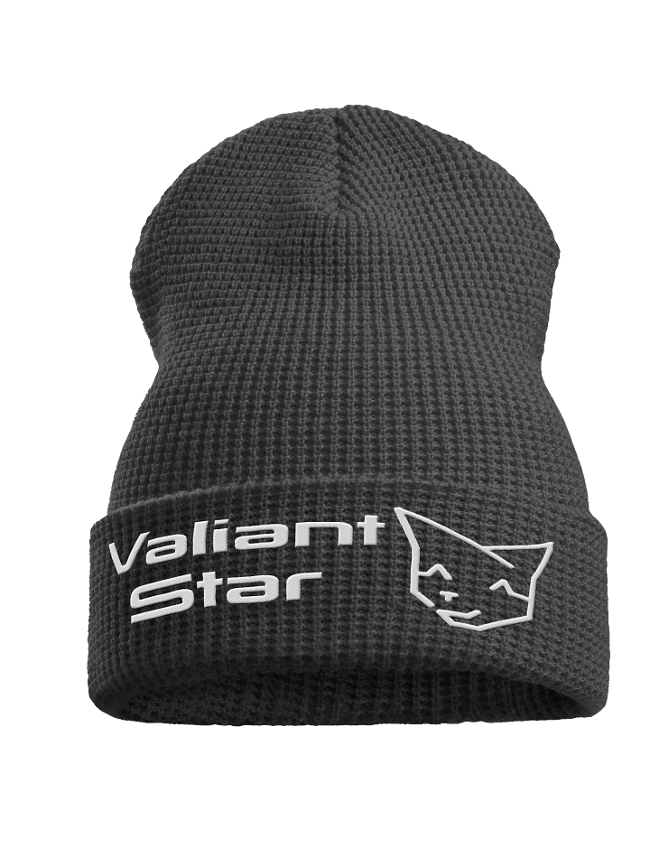 Valstar - Winter Beanie (Toque) product image (1)