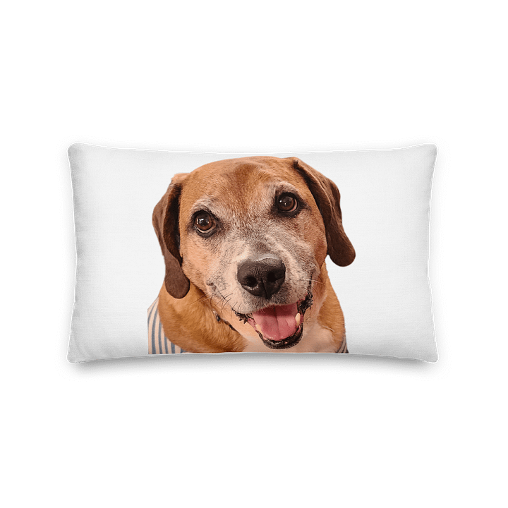 Louie Love & Judge Pillow product image (2)