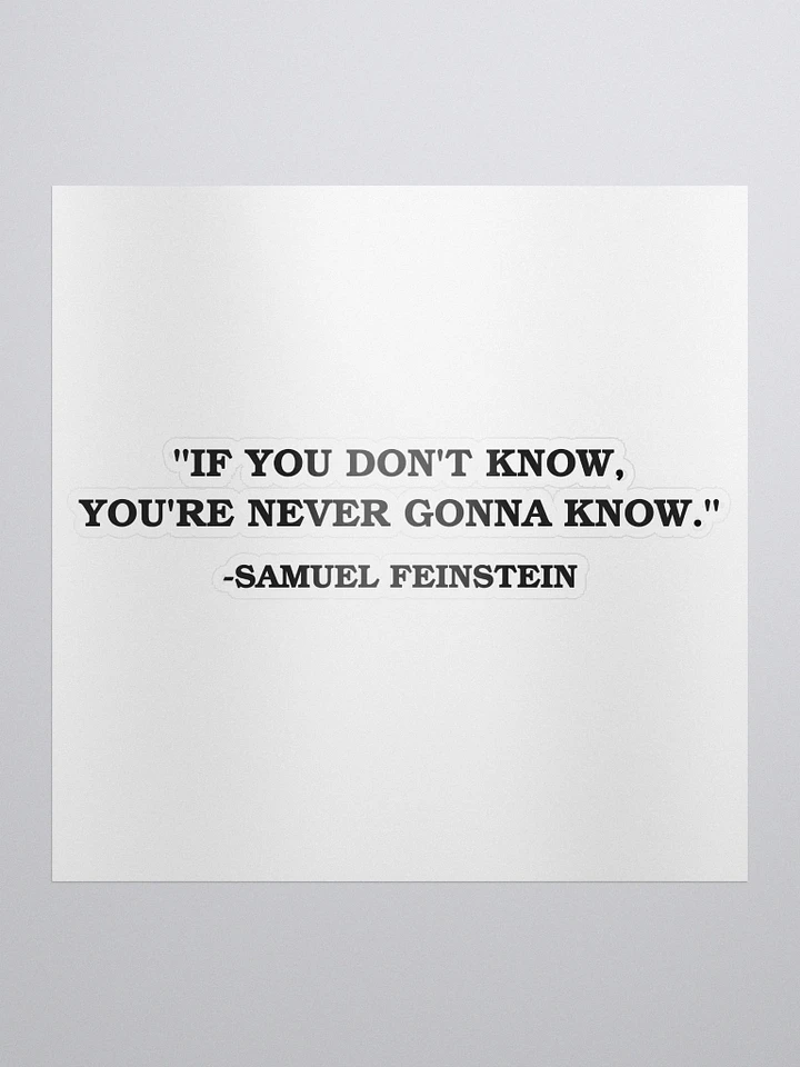 If You Dont Know, Youre Never Gonna Know - Sticker - Samuel Feinstein Quote product image (1)