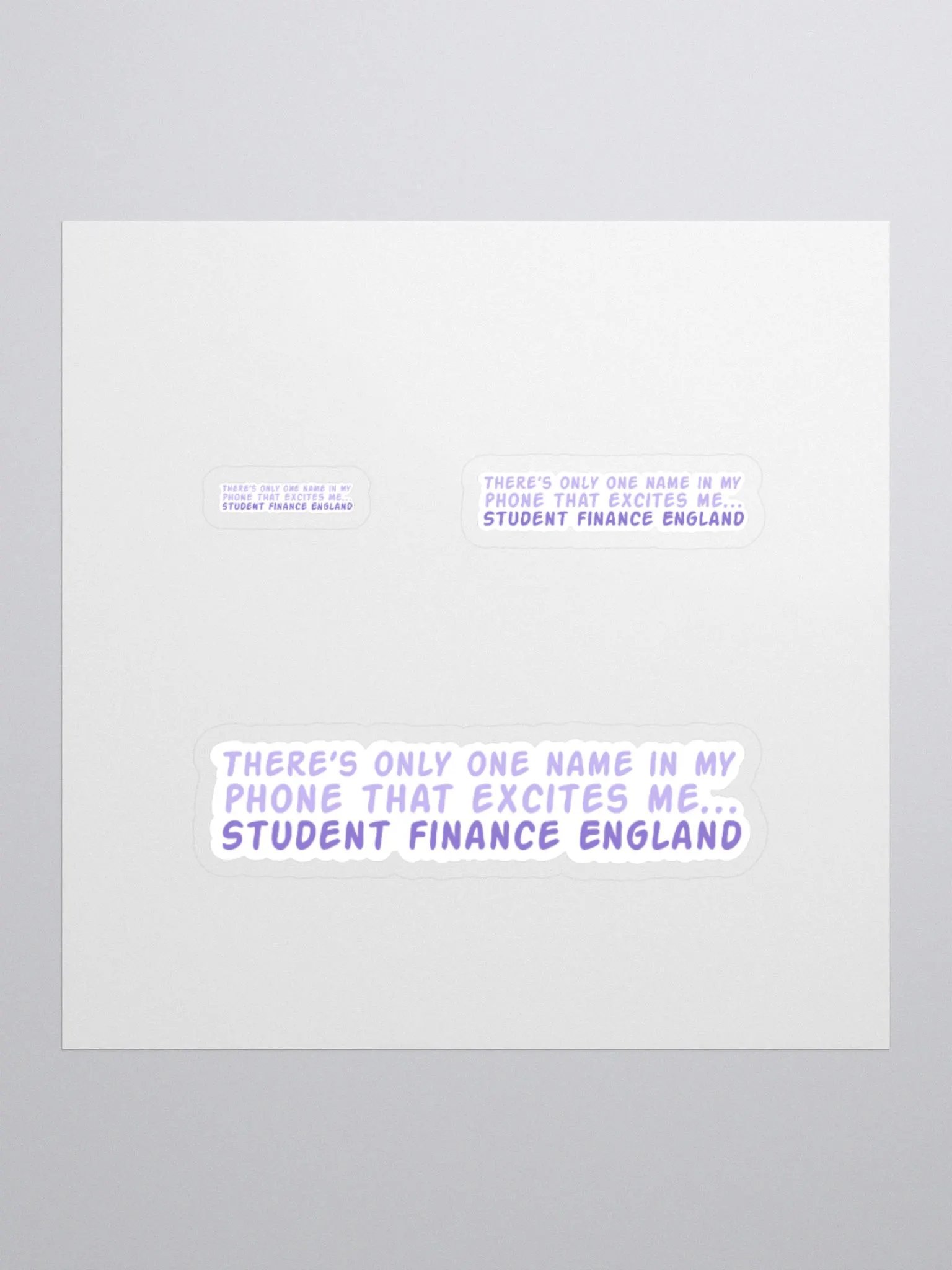 Student Finance Sticker product image (1)