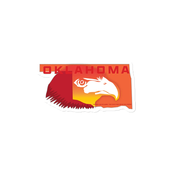Oklahoma Red-Tailed Hawk Magnet product image (2)