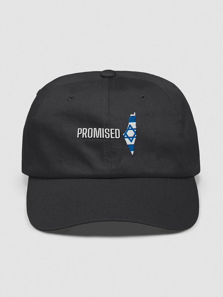 PROMISED Dad Hat – Covenant Edition product image (5)