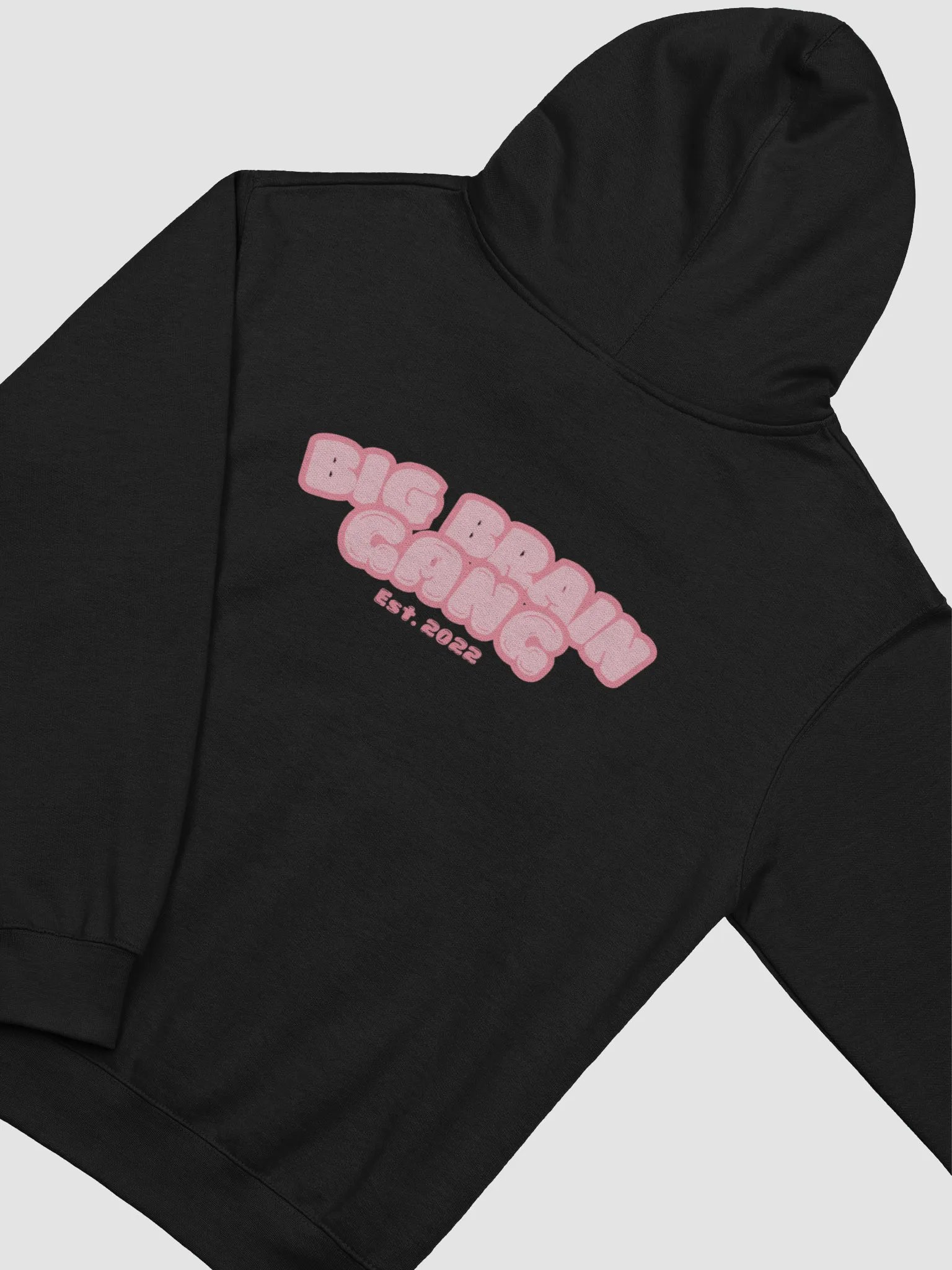 Brian Heart / Big Brain Gang Hoodie product image (34)