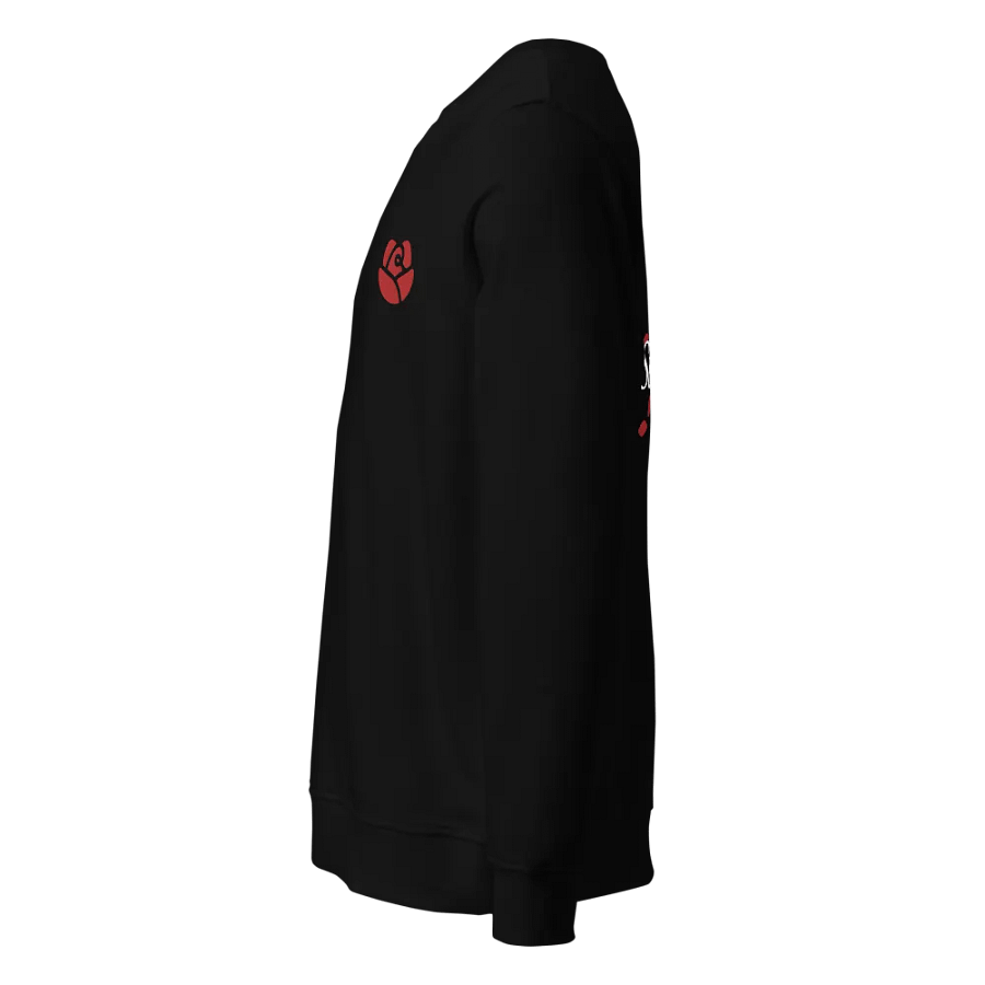 SOL'S Unisex Organic Embroidered Sweatshirt product image (3)