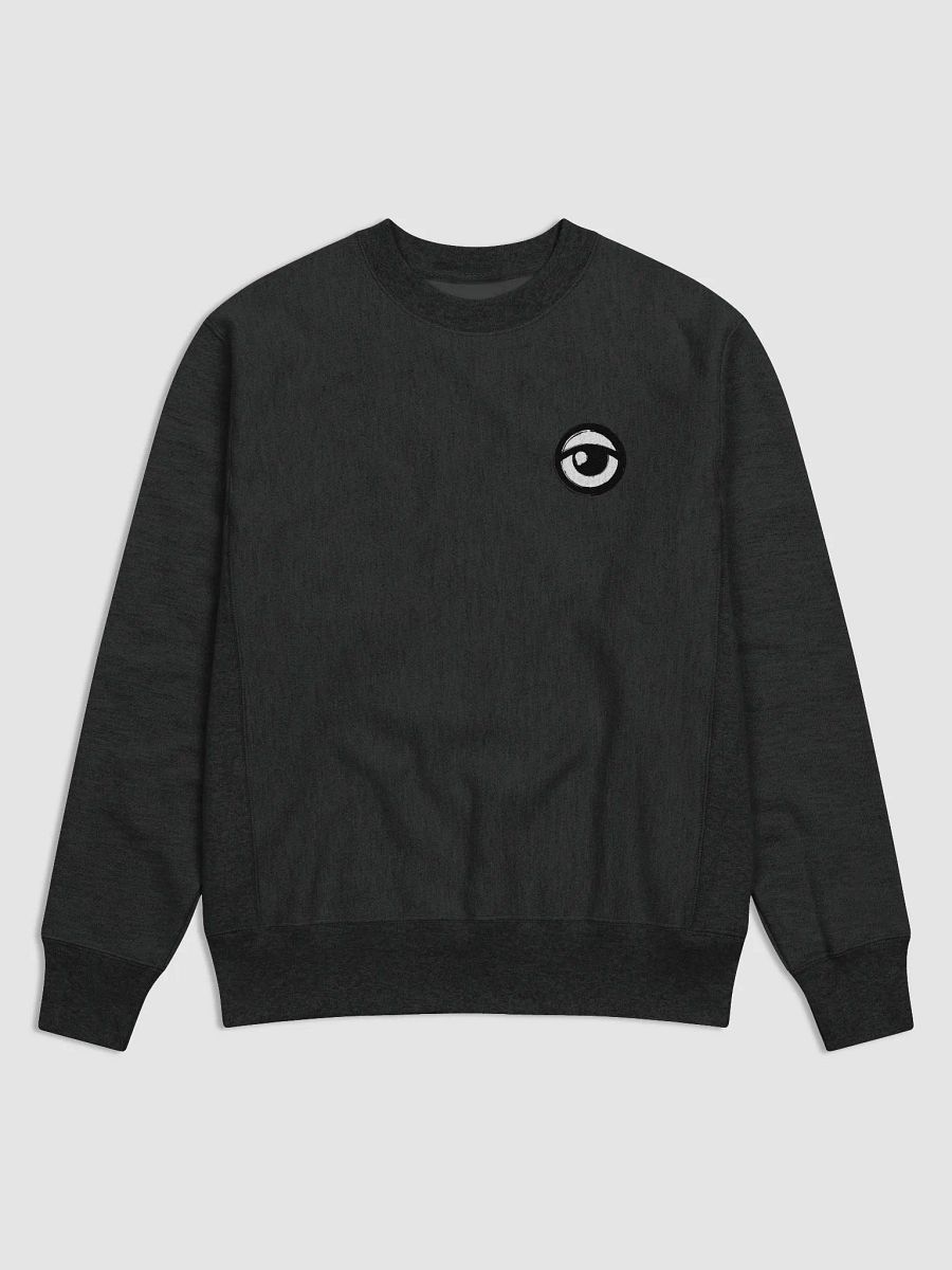 Power Surge Champion Pullover (B) product image (1)