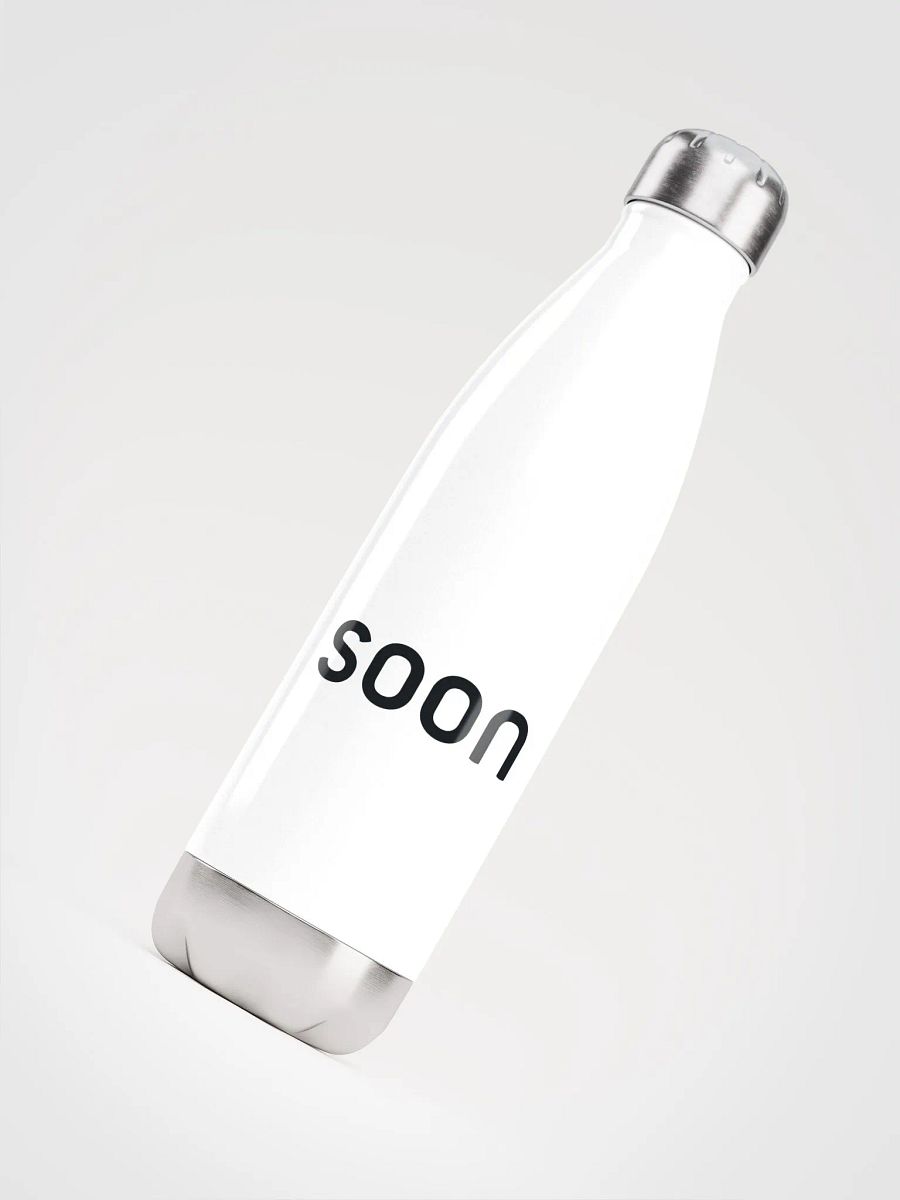 Stainless Steel Water Bottle product image (4)