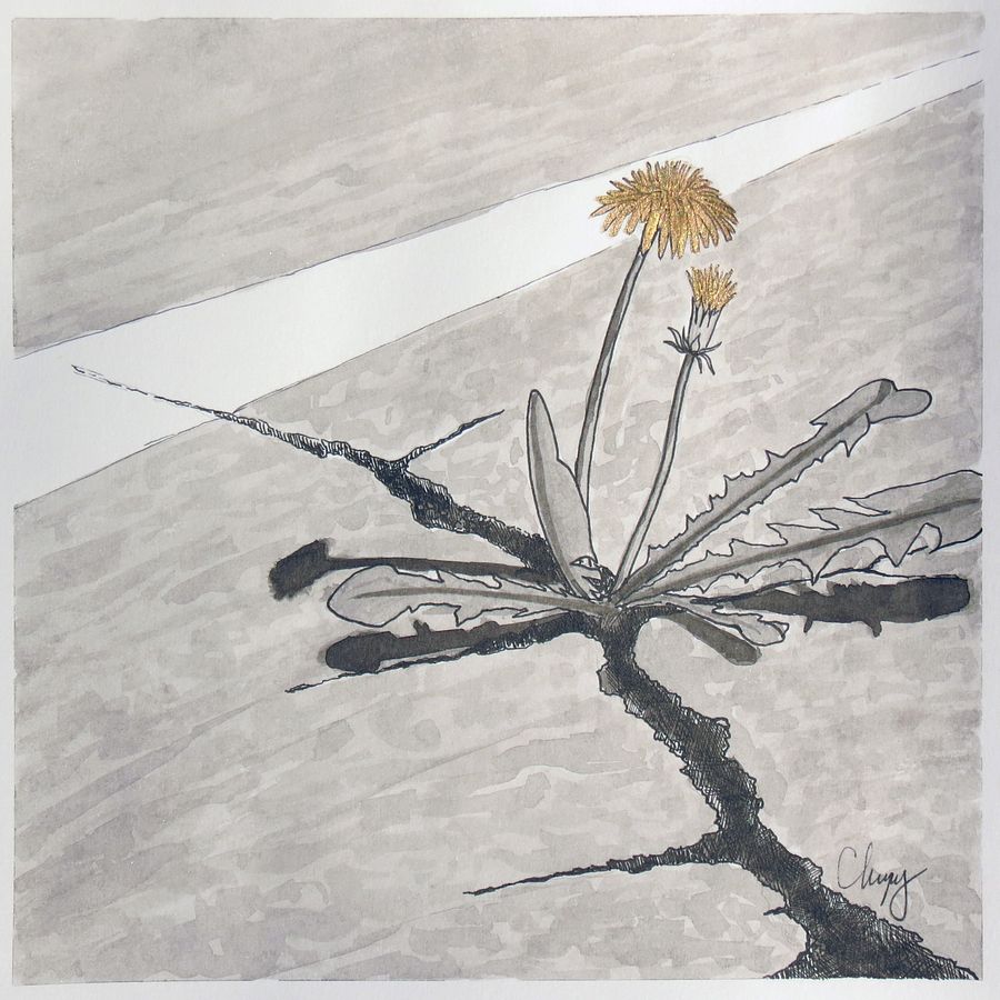 Dandelion - Original Drawing product image (2)
