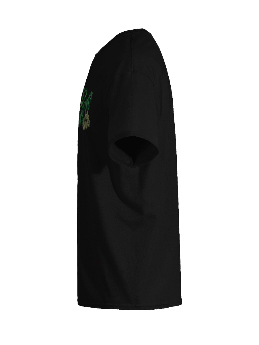 Stoned Schtewpid Tee product image (73)