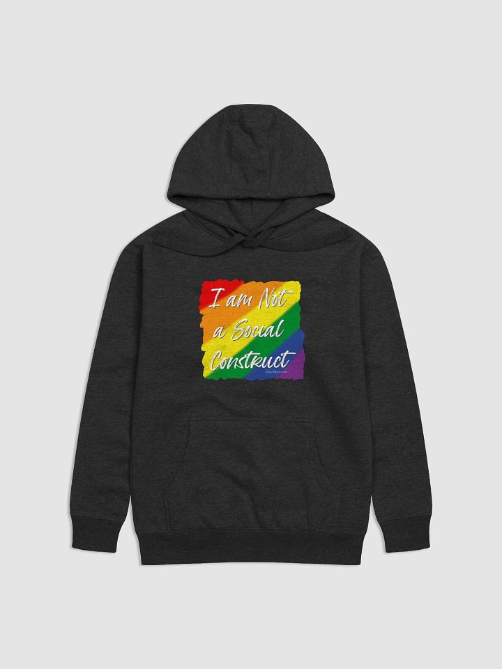 I am Not a Social Construct - Pride 2 - Hoodie product image (1)