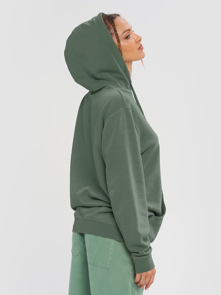 No Probllama Graphic Hoodie product image (10)