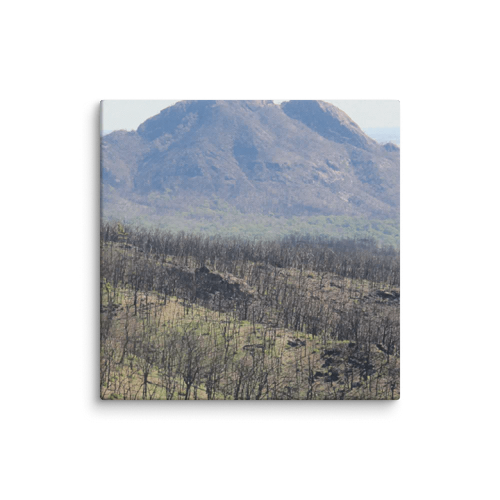 Historic Coonabarabran NSW Fire Canvas product image (1)
