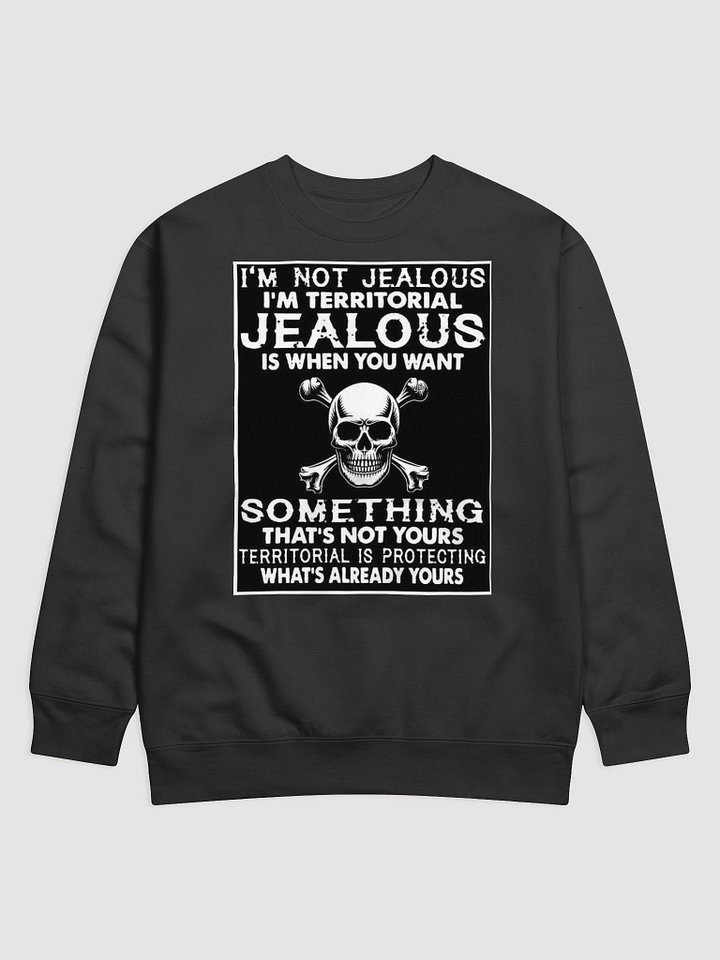 im not jealous pullover product image (1)