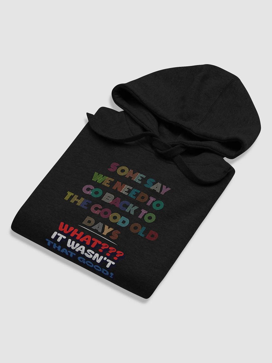 Some Say We Need To Go Back To The Good Old Days - Funny Hoodie product image (21)