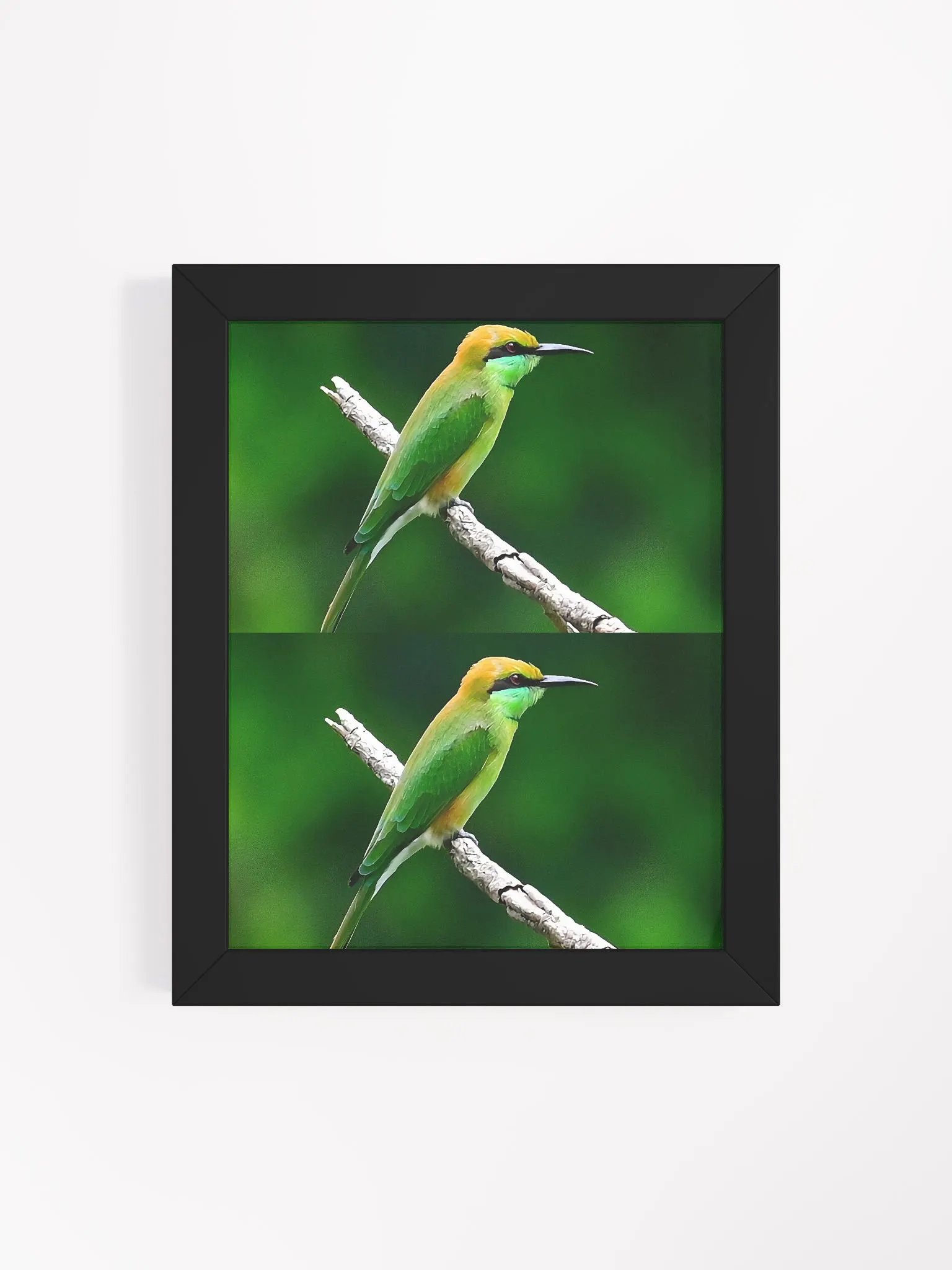 Framed High-Quality Matte BIrds Poster product image (10)