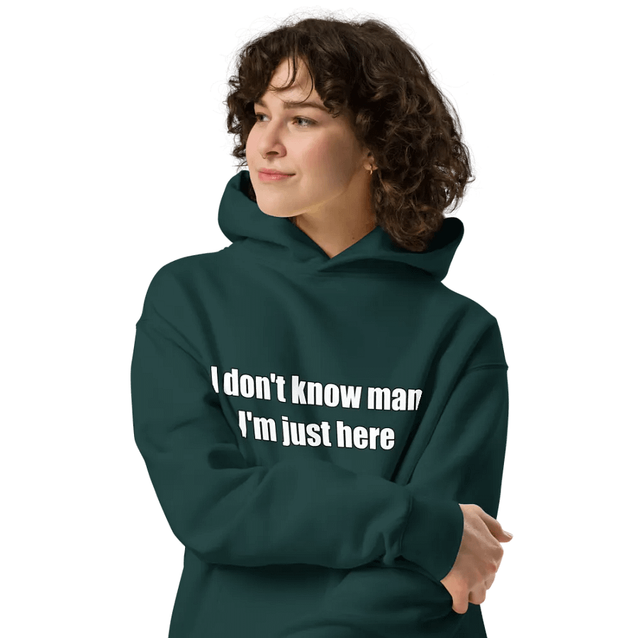 Just Here Premium Hoodie product image (4)