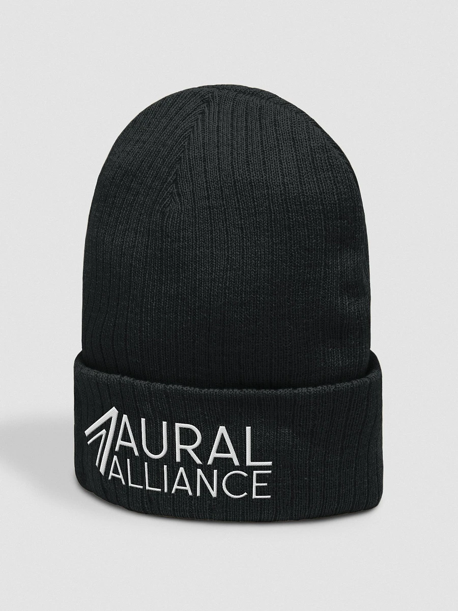 Aural Alliance Logo Beanie Hat product image (9)