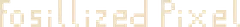 Fossilized Pixel