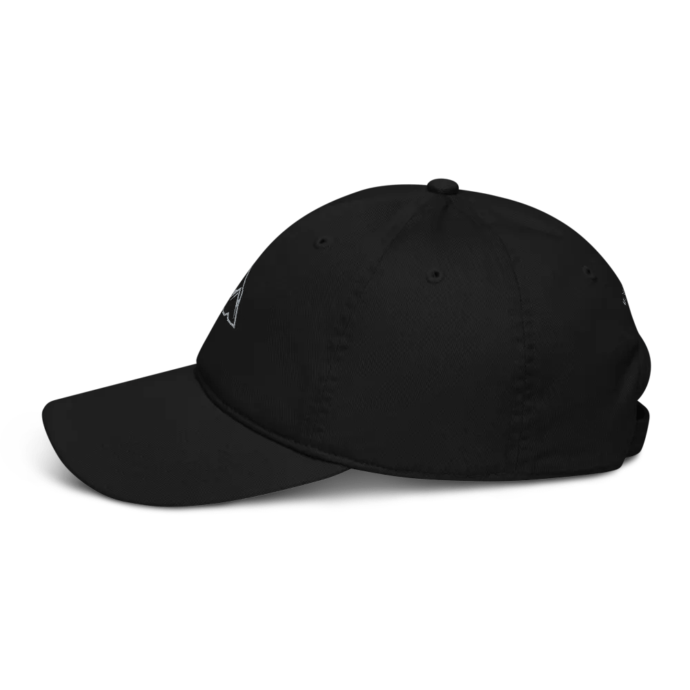 MOMENTUM Organic Dad Hat product image (2)