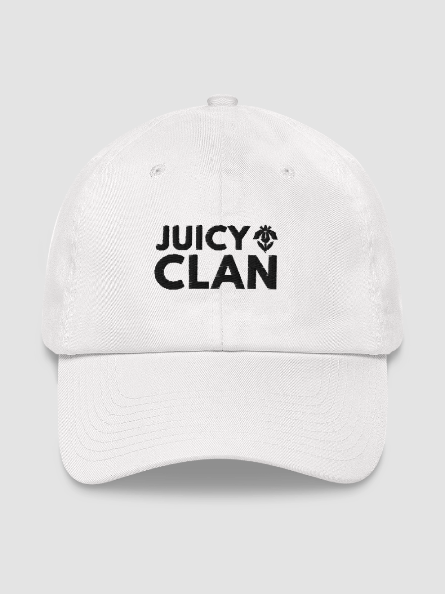 Embroidered Dad Hat - JUICY CLAN product image (1)