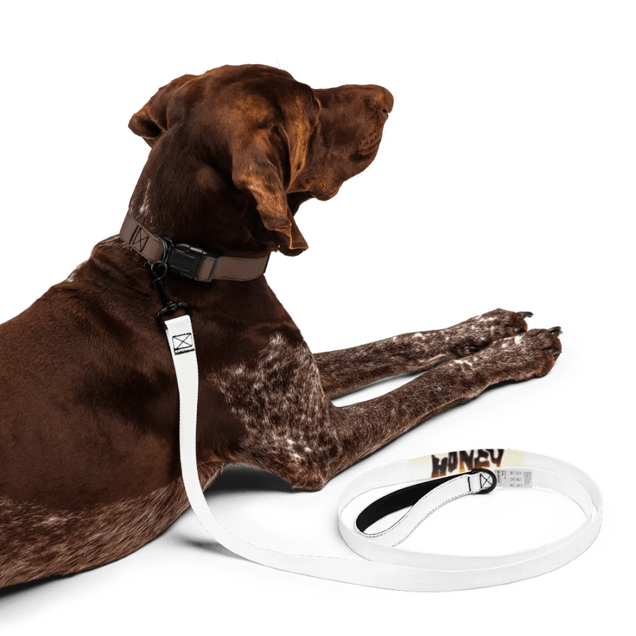 Honey (Pet Leash) product image (5)