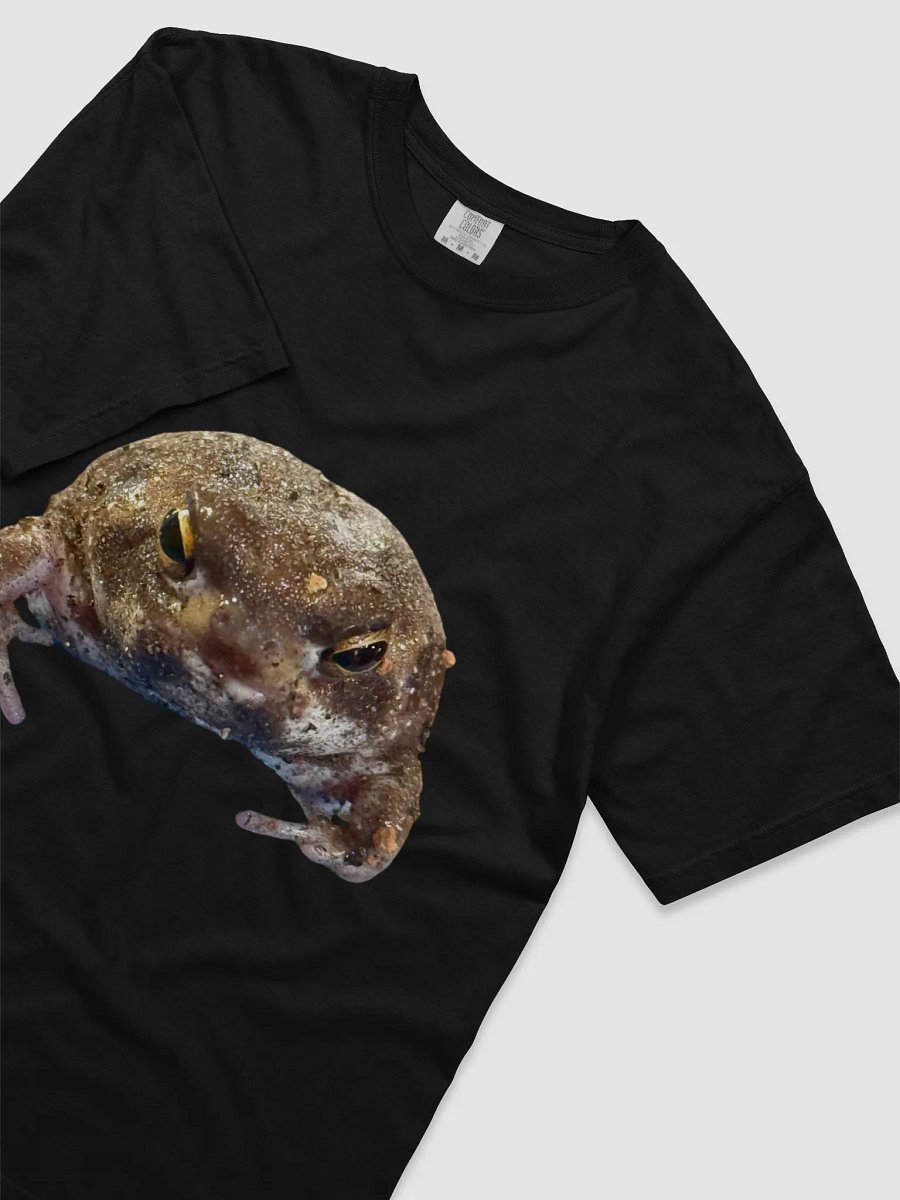 Mad Rain Frog T-Shirt product image (3)